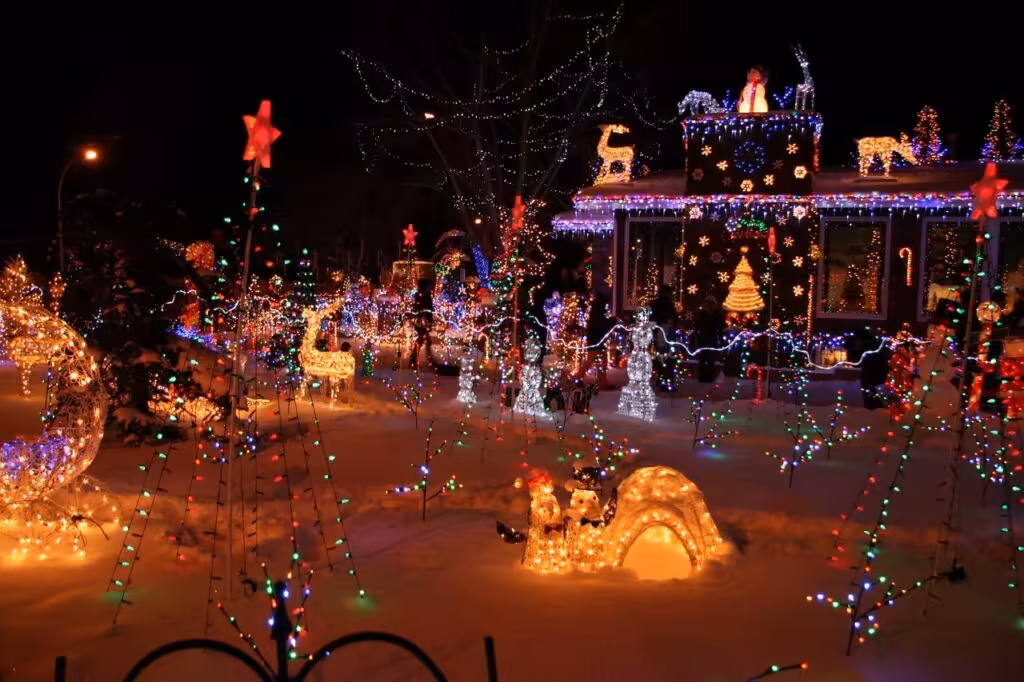 san diego december things to do events