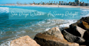 Sunny San Diego beach with clear skies, ocean waves, and vibrant coastal atmosphere.