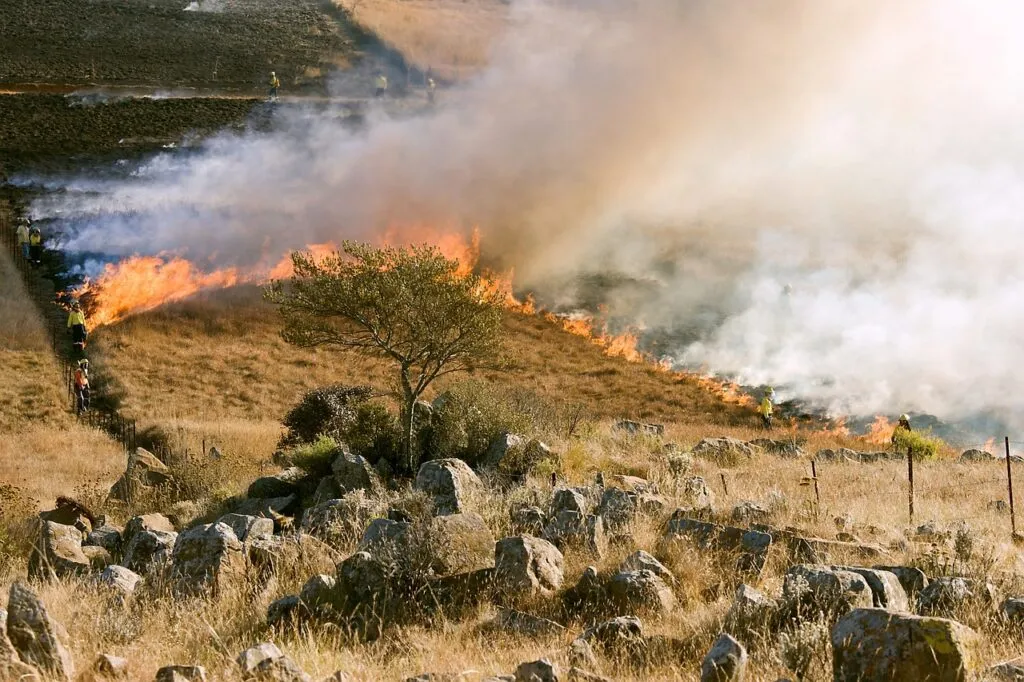 Navigating California’s Fire Insurance Challenges: Selling, Downsizing, Rightsizing, and the Role of the California FAIR Plan