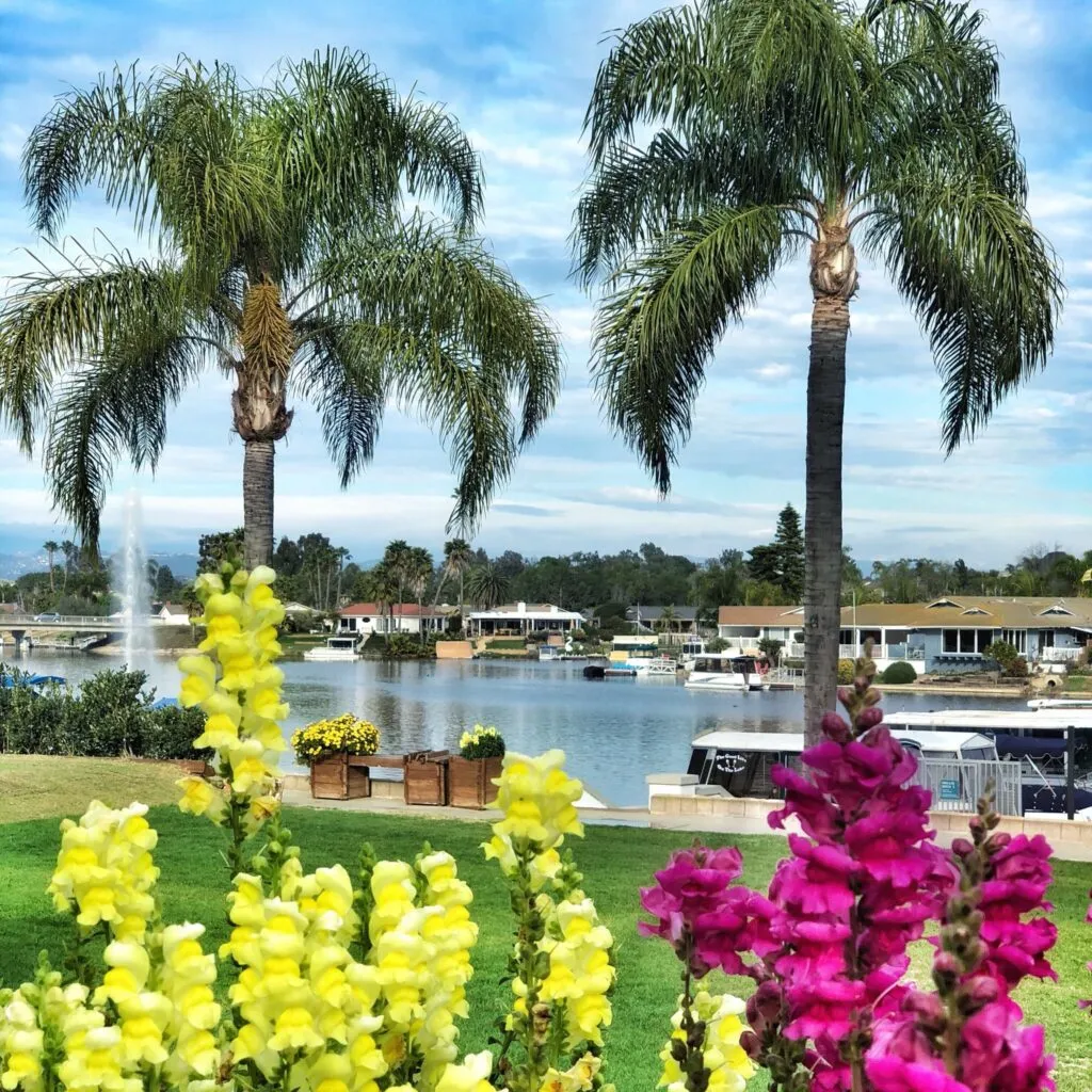 The Best Time to Buy a Home in San Diego