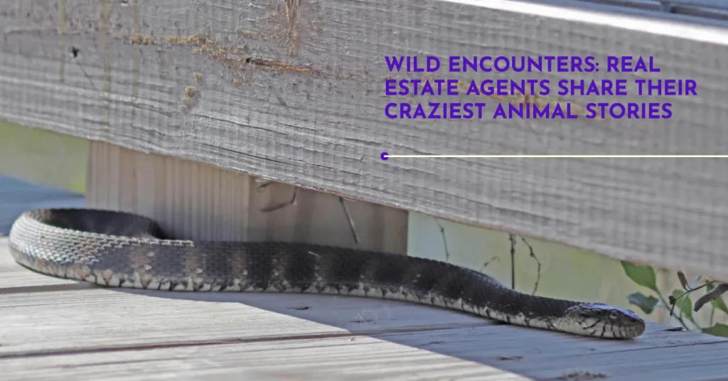 Wild Kingdom: The Craziest Animal Encounters Real Estate Agents Have Faced